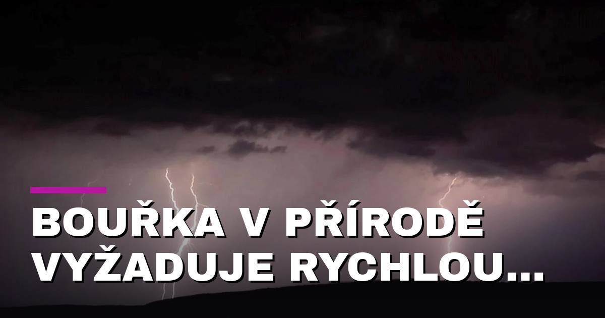 Bouřka v přírodě vyžaduje rychlou reakci. Hasiči radí, kam se schovat